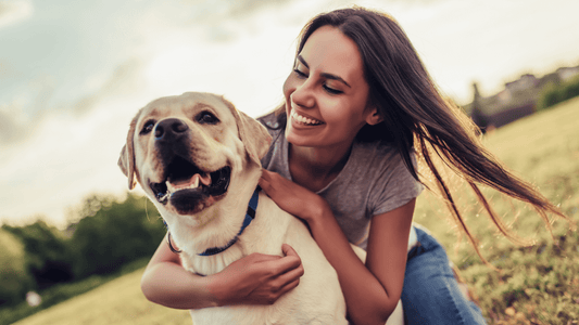 Nahrungsergänzungsmittel für Hunde