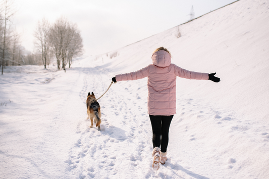 Hunde und Schnee