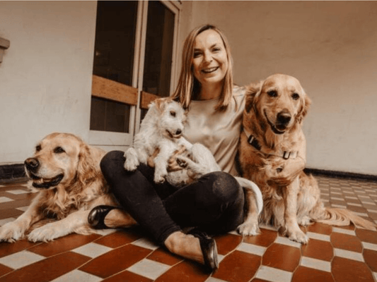 Therapiehunde