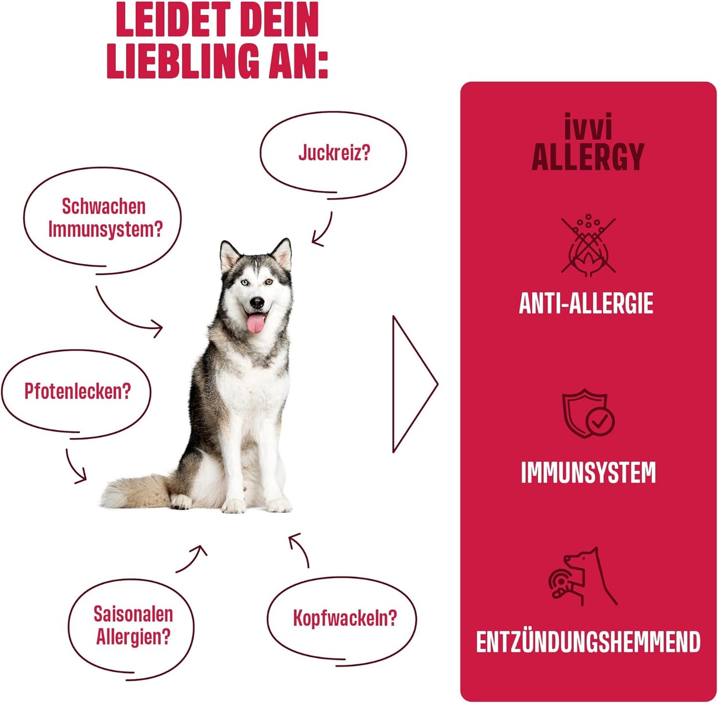 ALLERGY+