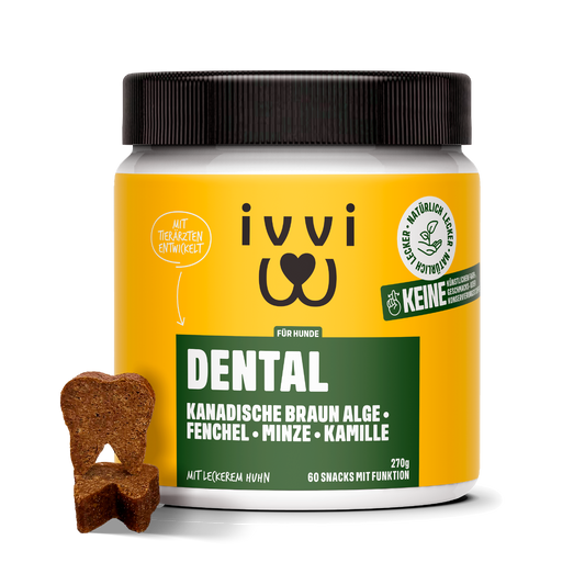 DENTAL