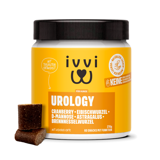 UROLOGY