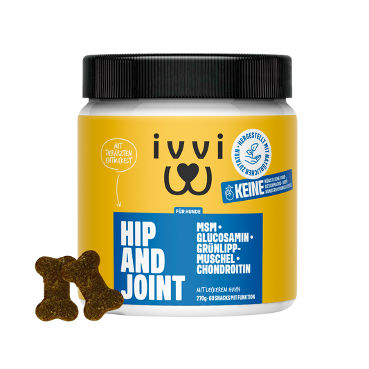 HIP AND JOINT