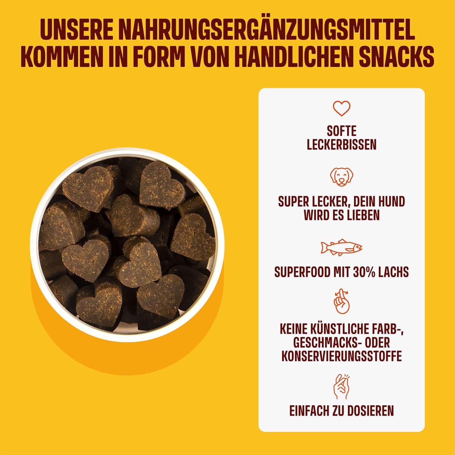 Nahrungsergänzung für Hunde