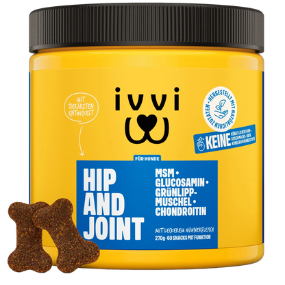 HIP AND JOINT
