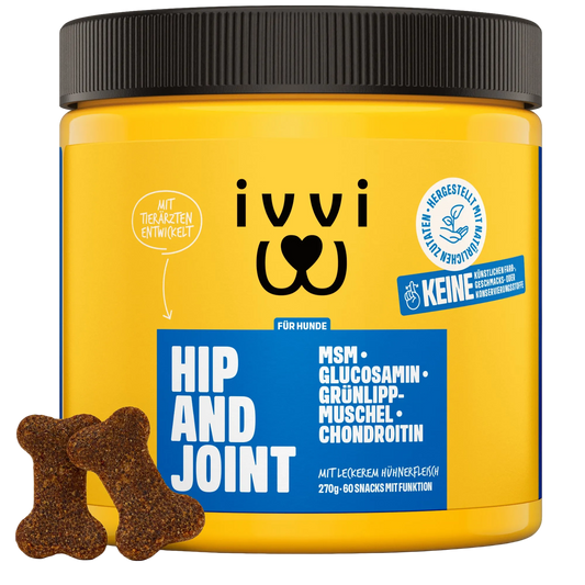 HIP AND JOINT