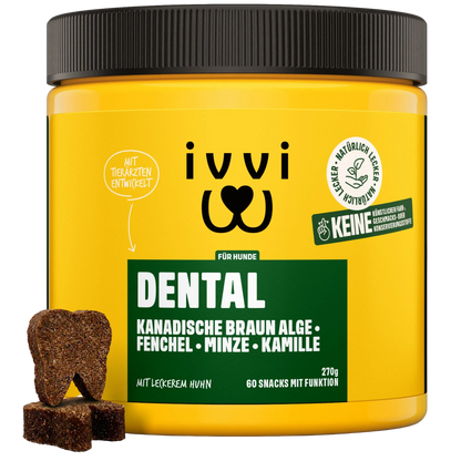 DENTAL