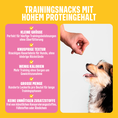 TRAINING