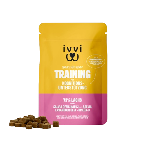 TRAINING