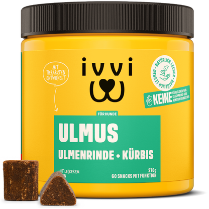 ULMUS