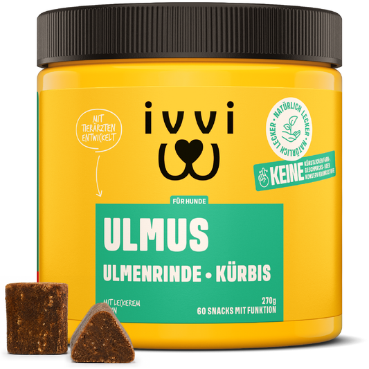 ULMUS