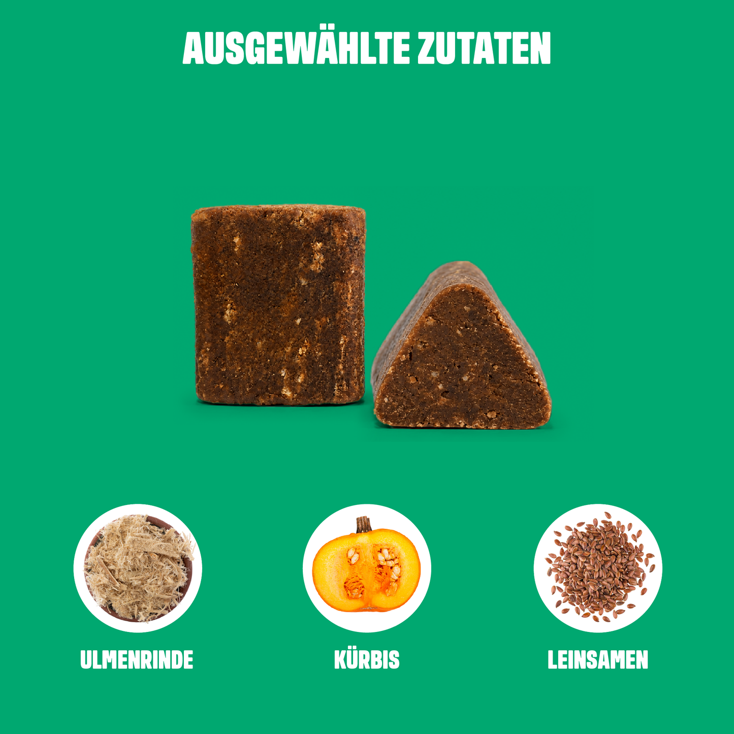 ULMUS