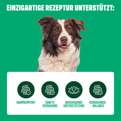 ULMUS