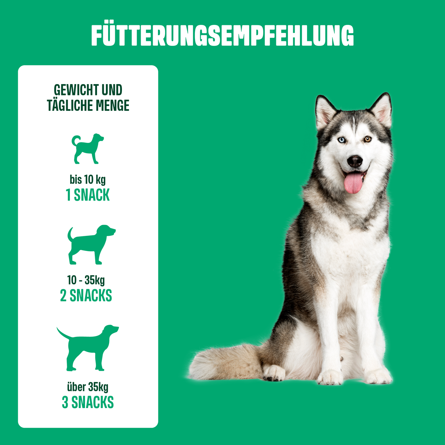 ULMUS