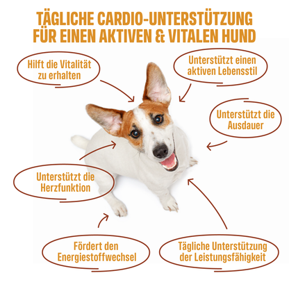 CARDIO